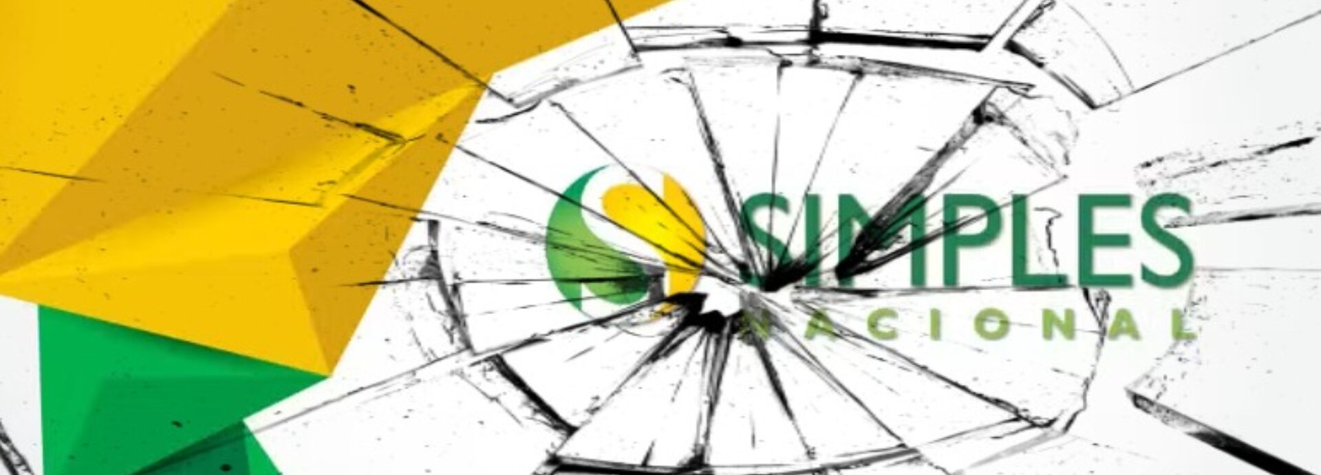 Simples nacional Revizia