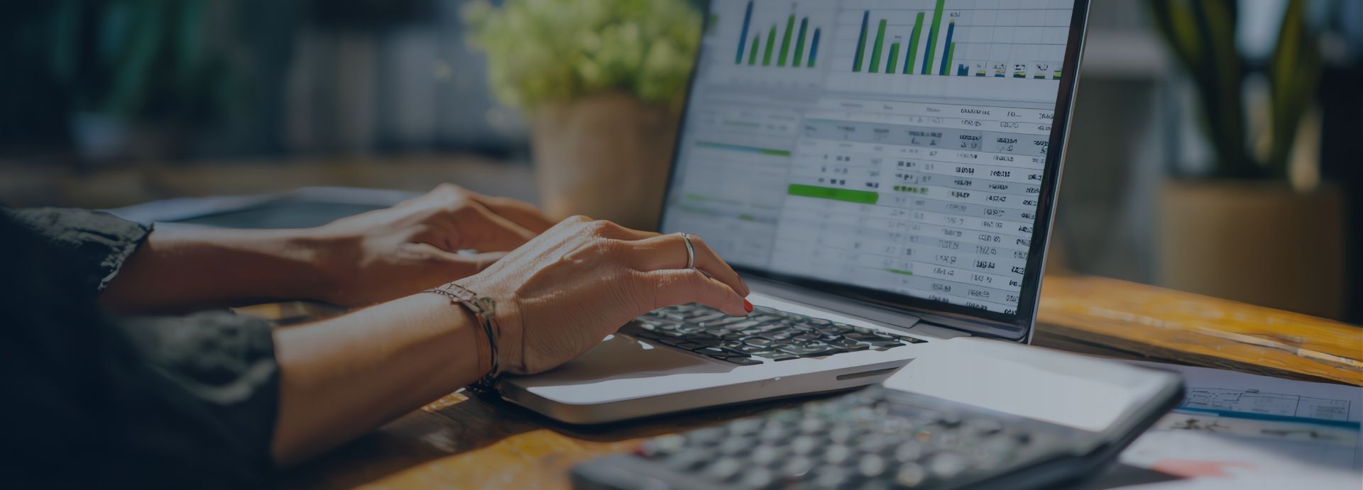 Software para gestão financeira